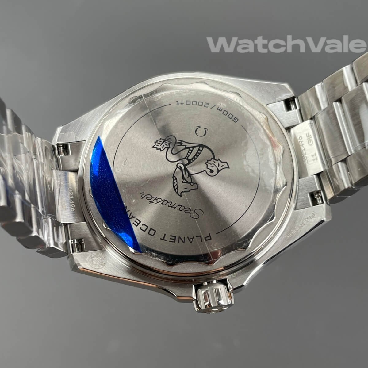 Omega Seamaster Planet Ocean 600M full view black blue ceramic replica
